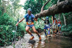 BIB: 
                            <button type="button" onclick="openModal(25369055)" class="btn btn-primary btn-sm float-right btn-popup" data-toggle="modal" data-target=".modal-high-quality">
                        <i class="fas fa-shopping-cart"></i> Add to Cart
                    </button>
                                            <button type="button" onclick="isThisMe(25369055, true)" class="btn btn-success btn-sm float-right btn-popup btn-isme hidden" data-toggle="tooltip" data-placement="bottom" title="นี่คือรูปของคุณใช่ไหม คลิกที่นี่เพื่อเอาเข้าอัลบั้ม">
                        <i class="fas fa-plus"></i> Add to album
                    </button>
                    <button type="button" onclick="isThisMe(25369055, false)" class="btn btn-warning btn-sm float-right btn-popup btn-isnotme hidden">
                        <i class="fas fa-ban"></i> Remove from album
                    </button>